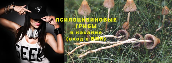 соль курить ск Белокуриха
