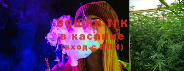 прущий лед Богданович