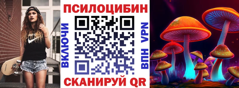 Галлюциногенные грибы Magic Shrooms  блэк спрут как зайти  Михайловск 